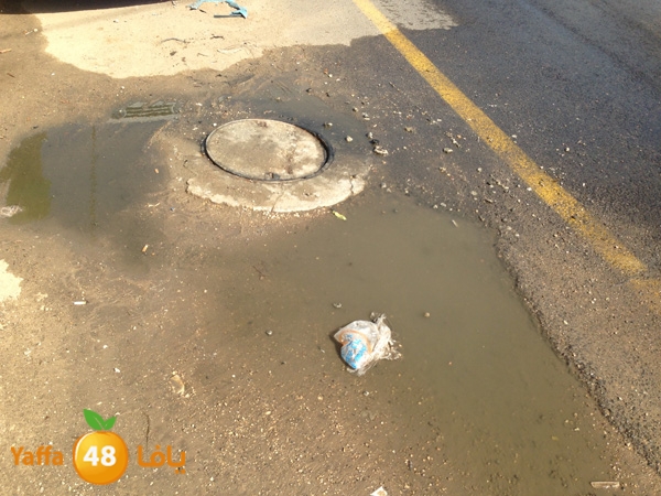 mjarym7atalud504 (4).JPG